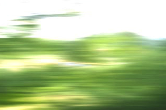 »Lovely Landscapes« Minyoung Paik