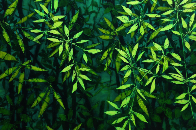 »Das elementare Grün« Jan Bresinski