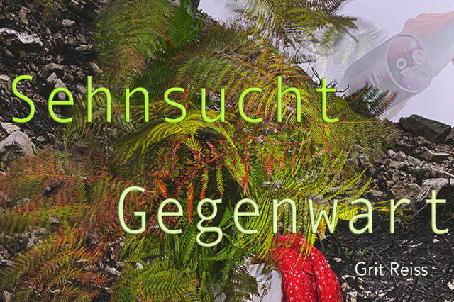 »Sehnsucht Gegenwart«, Grit Reiss, Mainz