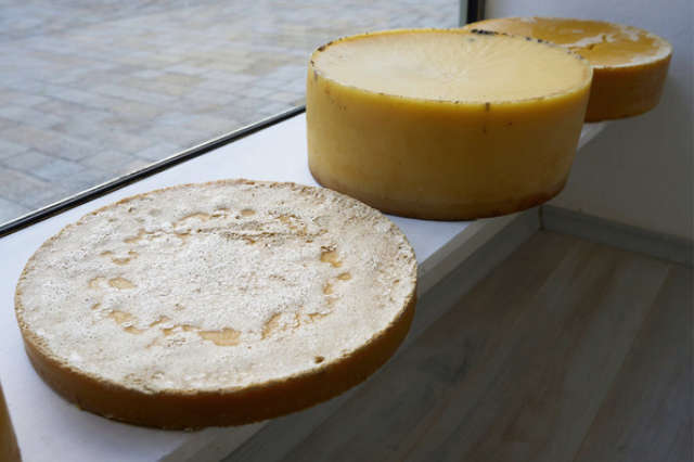 »waxwahr« von Christoph Scheuerecker aus München