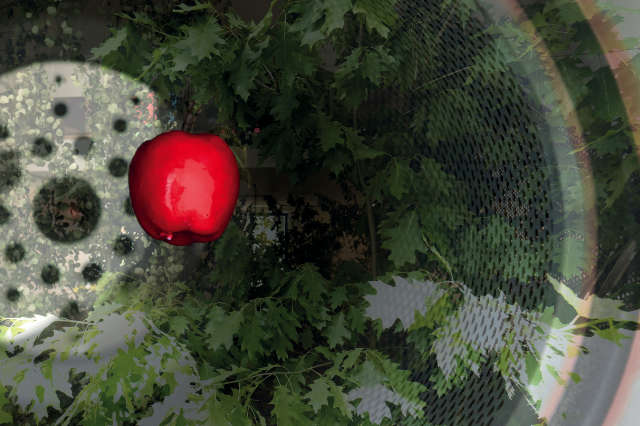 »Cymreid« von Adam Cmiel