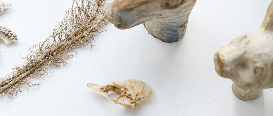 3. Juni bis 25. Juni 2016: »Resonanz der Orte« Dorothea Dudek und Brigitte Heintze mit Malerei und Zeichnung - Foto: Wolfram Schmidt